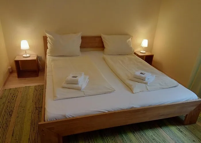 Leonard In Hahnenklee Daire Goslar